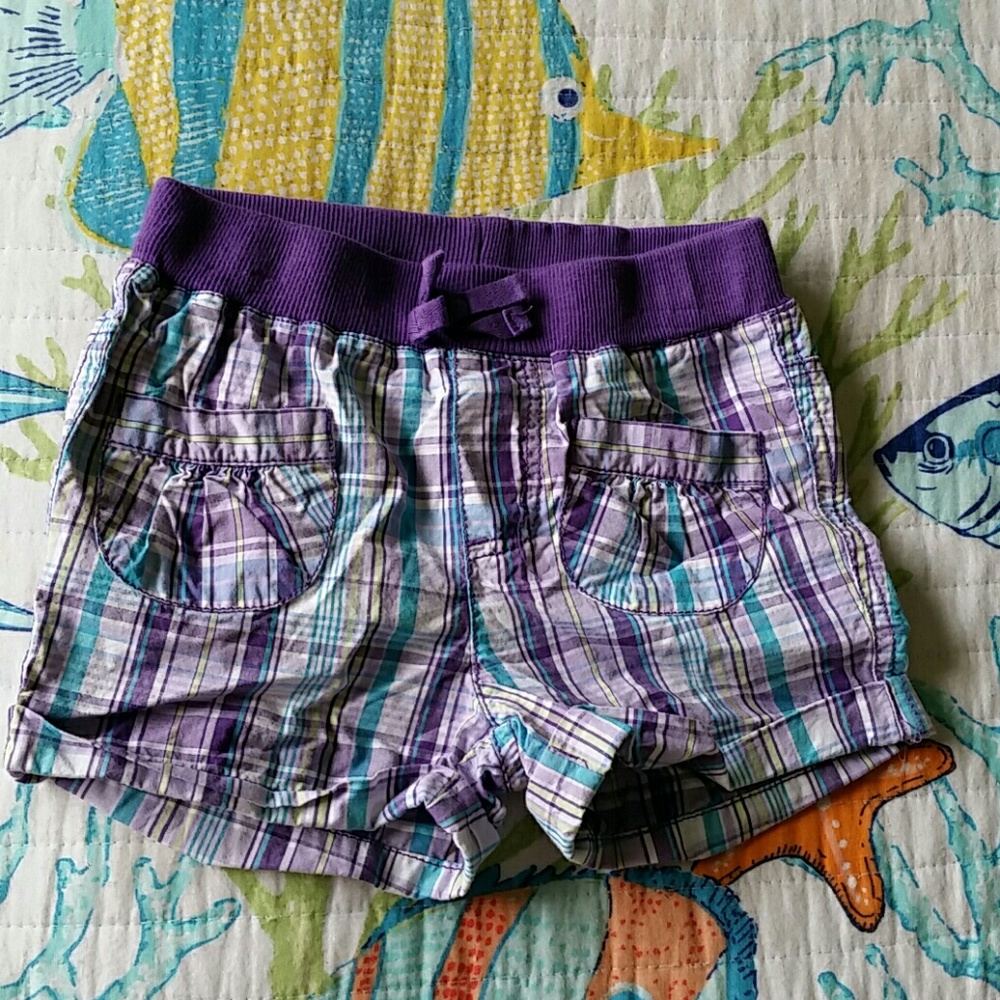 3T Purple & Blue Shorts